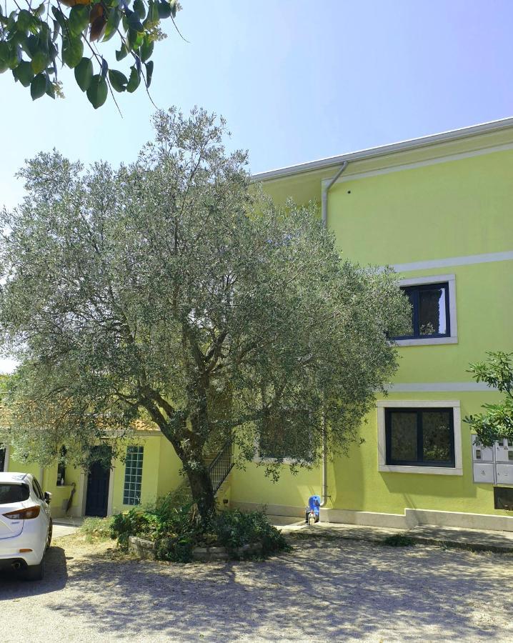 Apartments Adri, Parking In The Yard Rovinj Ngoại thất bức ảnh